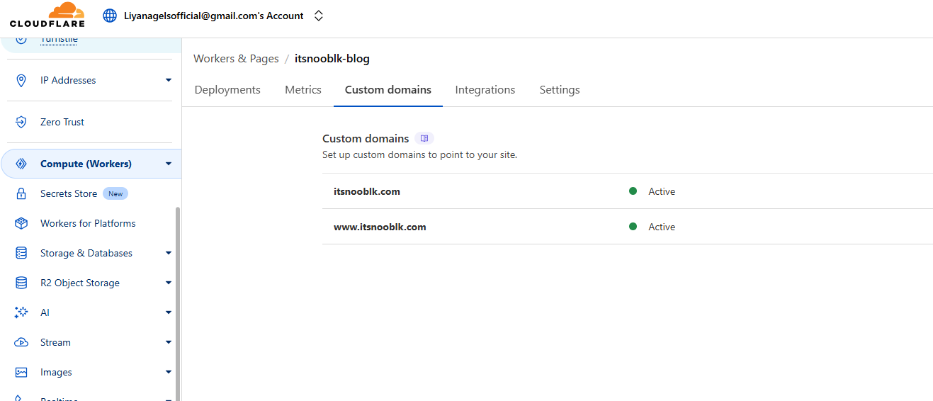 Custom Domain Setup